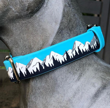 Alpine Noon